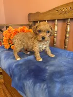 processed/0d949a9f-a6e0-4ffc-90a0-e3a2cc8fbb65/listing/d61b6dec-02d0-45a2-9910-460a950ffa1f/ba4ce9f8-bbc1-444c-af80-4b7bc043ea49