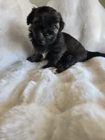 processed/0d996f7d-420e-457e-8ac6-a069e352084b/facility/0100e032-34ff-49d3-b31f-90e3ee8a6adb