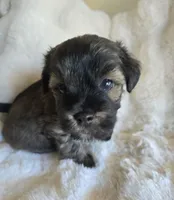 processed/0d996f7d-420e-457e-8ac6-a069e352084b/facility/13f0fceb-981f-4f9c-bf9c-39082875250e