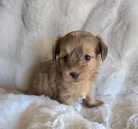 processed/0d996f7d-420e-457e-8ac6-a069e352084b/facility/1ac118bc-dd88-4cd2-8266-1c5e83a16670