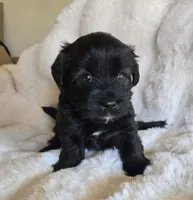 processed/0d996f7d-420e-457e-8ac6-a069e352084b/facility/524e60dc-db4d-44e7-950d-265c24d5414c