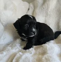 processed/0d996f7d-420e-457e-8ac6-a069e352084b/facility/81daa1ac-c5f2-4dee-99cb-e16581b7fb0d