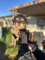 processed/0d996f7d-420e-457e-8ac6-a069e352084b/listing/1cbf6ea1-441f-41a2-8640-9ec25032bb9d/20627c38-d434-41b8-9e6c-bc3c3cd4b69c