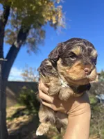 processed/0d996f7d-420e-457e-8ac6-a069e352084b/listing/1cbf6ea1-441f-41a2-8640-9ec25032bb9d/3d48a165-f145-4029-a363-140a36c4e1b3