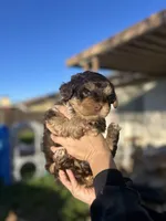 processed/0d996f7d-420e-457e-8ac6-a069e352084b/listing/1cbf6ea1-441f-41a2-8640-9ec25032bb9d/4f06c60d-ed6d-4ba3-90dc-926b6d20d51c