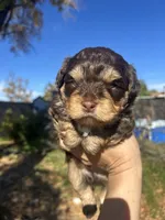 processed/0d996f7d-420e-457e-8ac6-a069e352084b/listing/1cbf6ea1-441f-41a2-8640-9ec25032bb9d/852a3966-cdb3-4b4c-8f20-23c39604f580