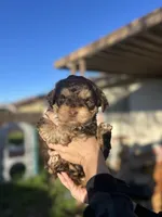 processed/0d996f7d-420e-457e-8ac6-a069e352084b/listing/1cbf6ea1-441f-41a2-8640-9ec25032bb9d/a66468ef-c372-4a41-8f07-2ed92acc3871