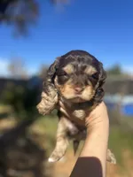 processed/0d996f7d-420e-457e-8ac6-a069e352084b/listing/1cbf6ea1-441f-41a2-8640-9ec25032bb9d/b1dc63d5-8783-4ab6-94d0-a01a0d8b42ae