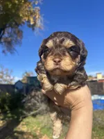 processed/0d996f7d-420e-457e-8ac6-a069e352084b/listing/1cbf6ea1-441f-41a2-8640-9ec25032bb9d/d53a4938-7276-45a9-91b2-2a09d2027074