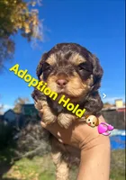 processed/0d996f7d-420e-457e-8ac6-a069e352084b/listing/1cbf6ea1-441f-41a2-8640-9ec25032bb9d/f57b523a-7b63-42d9-a5ad-8815163806ea