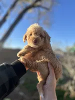 processed/0d996f7d-420e-457e-8ac6-a069e352084b/listing/f898b6dd-4c27-4387-9b6b-79655bfd9d24/11574b52-04a6-4afe-bf89-3fdb6de0dc9d