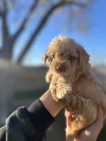 processed/0d996f7d-420e-457e-8ac6-a069e352084b/listing/f898b6dd-4c27-4387-9b6b-79655bfd9d24/2ee9d741-1b48-4bfd-b5c4-f28e6b2afe63