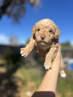 processed/0d996f7d-420e-457e-8ac6-a069e352084b/listing/f898b6dd-4c27-4387-9b6b-79655bfd9d24/394fd683-db4a-4863-a35e-f39a200ed111