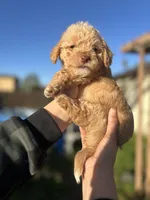 processed/0d996f7d-420e-457e-8ac6-a069e352084b/listing/f898b6dd-4c27-4387-9b6b-79655bfd9d24/93f90773-a543-4c9d-a50e-93e14cc27968