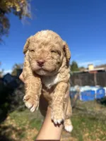 processed/0d996f7d-420e-457e-8ac6-a069e352084b/listing/f898b6dd-4c27-4387-9b6b-79655bfd9d24/ec2328d6-f339-4e19-bce5-fb6afb368358