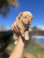 processed/0d996f7d-420e-457e-8ac6-a069e352084b/listing/f898b6dd-4c27-4387-9b6b-79655bfd9d24/f2f31bea-1e08-4d29-93c3-d1b9b0a270c4