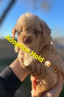 processed/0d996f7d-420e-457e-8ac6-a069e352084b/listing/f898b6dd-4c27-4387-9b6b-79655bfd9d24/f6acea2d-4bc8-4e69-a589-6ccd9b6dd0a7