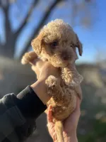 processed/0d996f7d-420e-457e-8ac6-a069e352084b/listing/f898b6dd-4c27-4387-9b6b-79655bfd9d24/f7d7fbfe-1131-418b-9fad-10e4a388070a