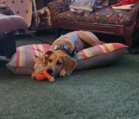 processed/0da4166e-7781-43f3-880f-c28f0f201b3c/facility/43b5a2e3-8511-4b61-9340-ed30d94ec51d