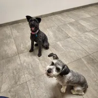 processed/0da4166e-7781-43f3-880f-c28f0f201b3c/facility/467963ad-d4ef-44e9-87db-f51c8822ac2d