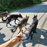 processed/0da4166e-7781-43f3-880f-c28f0f201b3c/facility/4ec5b44b-8f94-4f7a-97d0-a1460f543c4e