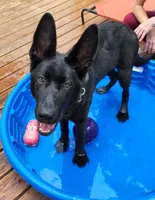 processed/0da4166e-7781-43f3-880f-c28f0f201b3c/facility/5aa0af3b-ff5b-4535-809a-e5984d4ca0a6