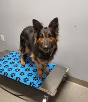 processed/0da4166e-7781-43f3-880f-c28f0f201b3c/facility/6f6c338c-f3f0-46e4-9166-d8221d579b89