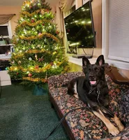 processed/0da4166e-7781-43f3-880f-c28f0f201b3c/facility/e4fe5f4f-e17a-4bad-9938-409d1da24f94