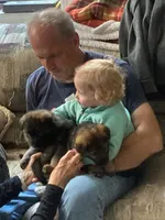 Ginger Spice, a female German Shepherd Dog for sale in Newfields, NH – Photo 1 of 10