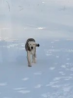 processed/0da977cc-adee-45c7-866a-677c50be369e/listing/501b4f49-5082-4037-834f-054c616deb10/88f30c72-93d6-44a4-9cd4-d256cf0004d7