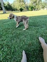 processed/0dacb763-baaf-4d0d-8121-892dd904eeab/listing/18f5f4da-3dad-45de-b77e-314d3d30c21a/49e9e136-5dd3-4350-b68b-2d6eca5e019b