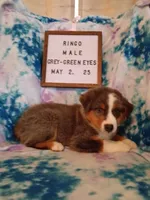 processed/0dacb763-baaf-4d0d-8121-892dd904eeab/listing/18f5f4da-3dad-45de-b77e-314d3d30c21a/8124917f-fa74-43e4-a1fc-62e6c593c23b