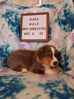 processed/0dacb763-baaf-4d0d-8121-892dd904eeab/listing/18f5f4da-3dad-45de-b77e-314d3d30c21a/a4905cad-19a0-4a95-bf29-6e8866658607