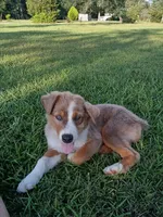 processed/0dacb763-baaf-4d0d-8121-892dd904eeab/listing/18f5f4da-3dad-45de-b77e-314d3d30c21a/c9a9367c-7108-4a65-8052-d0798d1a0572