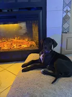 processed/0dcbc6a5-aa80-4b5c-a28e-01b539d7b0be/listing/8fceecea-a456-4e44-843f-978e48ca5364/7d744069-fc5d-4ba2-9c4c-d8e38dd17271