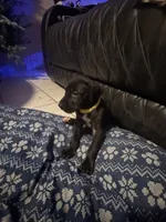 processed/0dcbc6a5-aa80-4b5c-a28e-01b539d7b0be/listing/8fceecea-a456-4e44-843f-978e48ca5364/9caa6a5d-5799-4465-a3b8-152326546c41