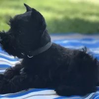 processed/0dcf55a5-8606-471b-aff6-216b0e298769/facility/17978441-a560-4f15-9db1-5184bb960ed9