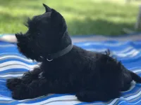 processed/0dcf55a5-8606-471b-aff6-216b0e298769/facility/17978441-a560-4f15-9db1-5184bb960ed9