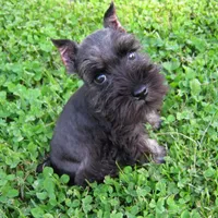 processed/0dcf55a5-8606-471b-aff6-216b0e298769/facility/6c8b1129-385c-49a8-9dfb-d8d214656e48