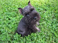 processed/0dcf55a5-8606-471b-aff6-216b0e298769/facility/6c8b1129-385c-49a8-9dfb-d8d214656e48