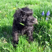 processed/0dcf55a5-8606-471b-aff6-216b0e298769/facility/a1cc2ae1-ab7a-4776-91ac-843f4737b6cf