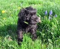 processed/0dcf55a5-8606-471b-aff6-216b0e298769/facility/a1cc2ae1-ab7a-4776-91ac-843f4737b6cf