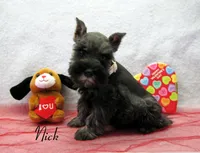 processed/0dcf55a5-8606-471b-aff6-216b0e298769/listing/543a3ee1-c90a-4f11-86ff-1c6a944b6685/6969880c-741d-4cb1-abff-ab24390238db