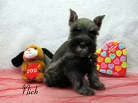 processed/0dcf55a5-8606-471b-aff6-216b0e298769/listing/543a3ee1-c90a-4f11-86ff-1c6a944b6685/933f799c-cca6-4dee-a467-fea17ac5568d