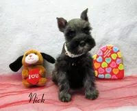 processed/0dcf55a5-8606-471b-aff6-216b0e298769/listing/543a3ee1-c90a-4f11-86ff-1c6a944b6685/f3668fc5-7fdf-46a2-9f82-c4ed80d3a0c4