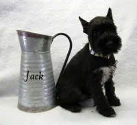 processed/0dcf55a5-8606-471b-aff6-216b0e298769/listing/c6683a71-e184-457d-829f-59160ef6d9bf/13eb3b4b-ba72-4635-83b9-dcaa43954607