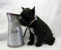 processed/0dcf55a5-8606-471b-aff6-216b0e298769/listing/c6683a71-e184-457d-829f-59160ef6d9bf/2de8cc6e-1fc5-48c1-ac33-ef55e4d74950