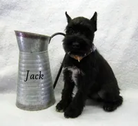 processed/0dcf55a5-8606-471b-aff6-216b0e298769/listing/c6683a71-e184-457d-829f-59160ef6d9bf/5eb94758-4973-4467-8cbf-37c3135fa3e8