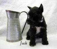 processed/0dcf55a5-8606-471b-aff6-216b0e298769/listing/c6683a71-e184-457d-829f-59160ef6d9bf/c60297f9-54ac-4ad0-b188-eca630b745fd