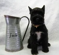 processed/0dcf55a5-8606-471b-aff6-216b0e298769/listing/c6683a71-e184-457d-829f-59160ef6d9bf/ffd16a3c-fe69-4da3-a9a7-63096949fdb3